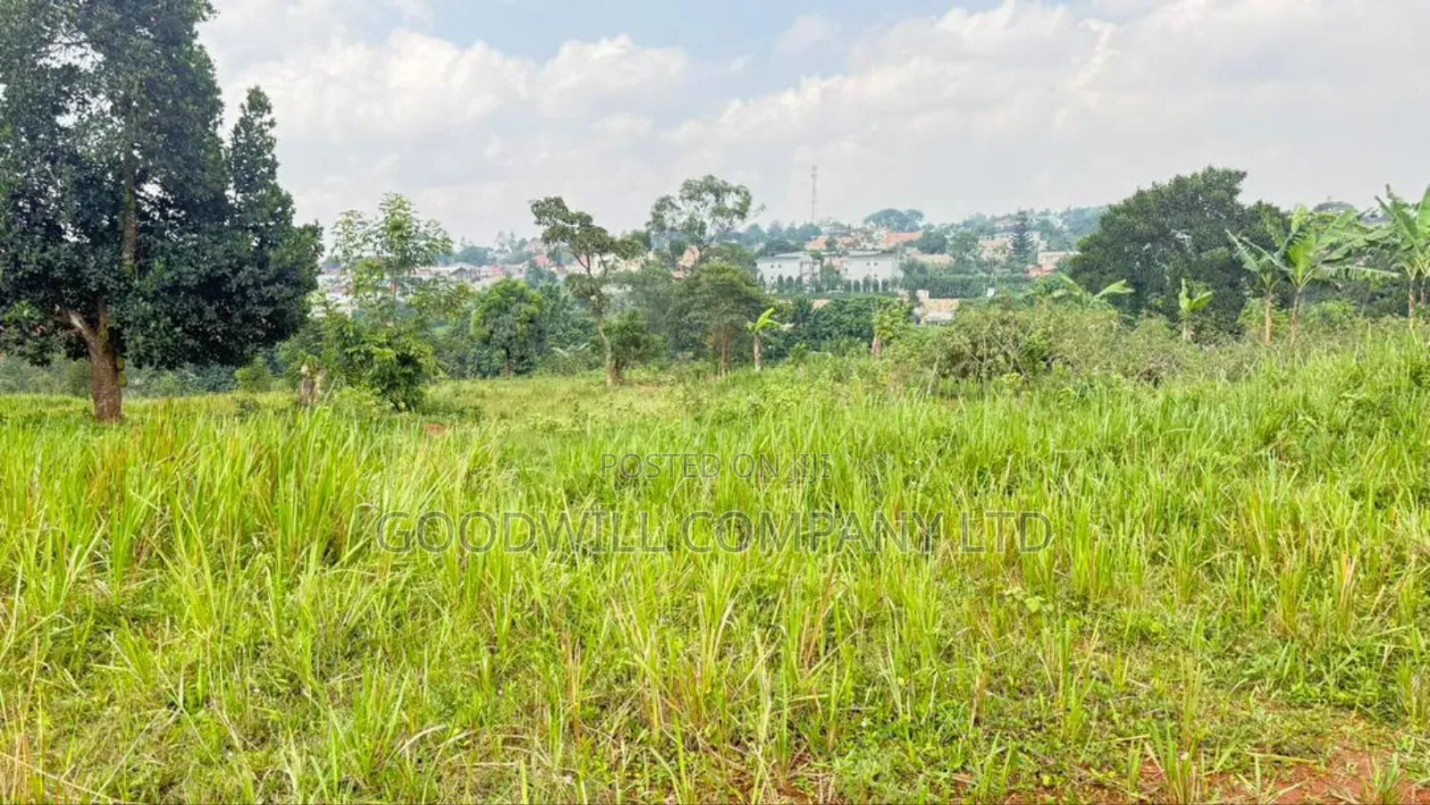 3 Acres of Land in Kira Behind Green Hill School