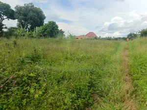 5 Acres of Land in Namaiba Mukono on Katosi Rd