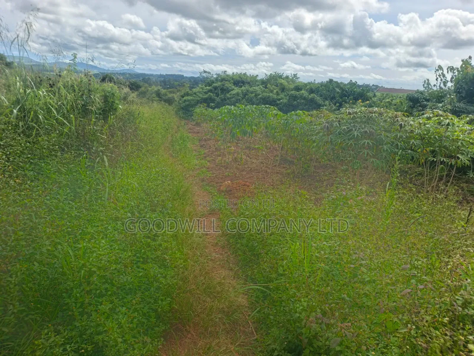 5 Acres of Land in Namaiba Mukono on Katosi Rd