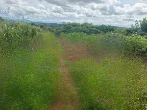 5 Acres of Land in Namaiba Mukono on Katosi Rd