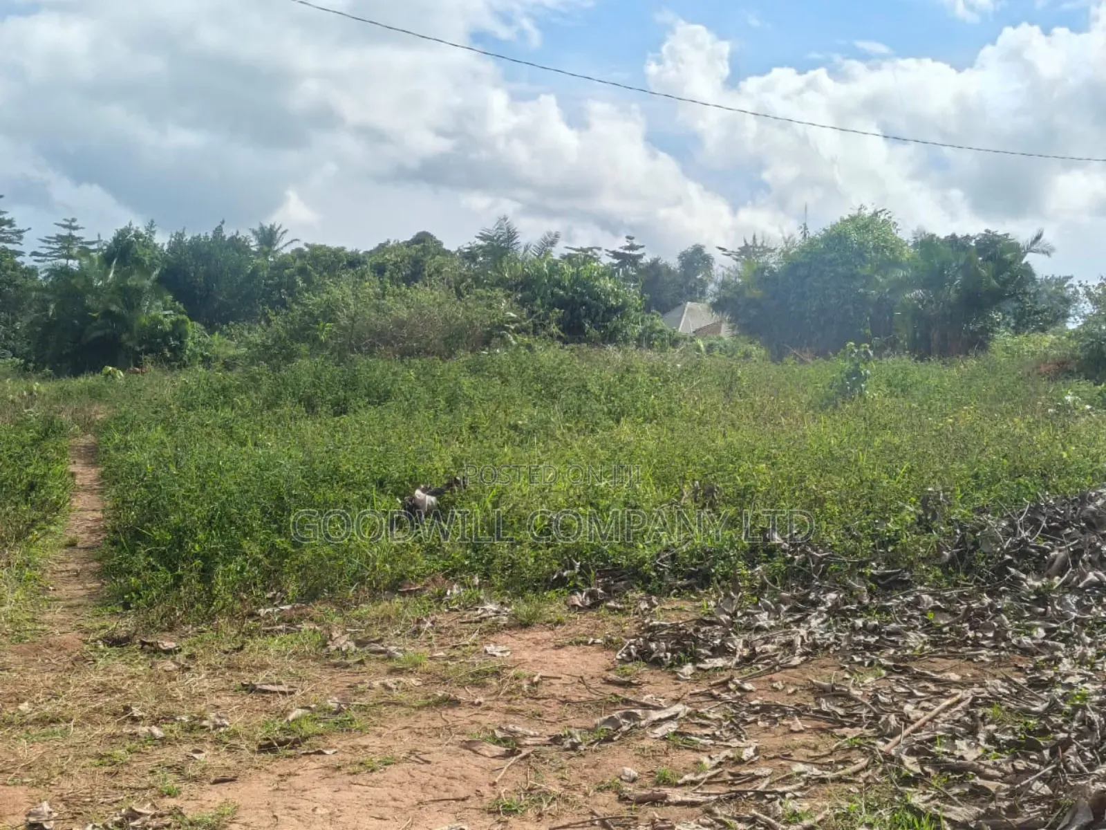 5 Acres of Land in Namaiba Mukono on Katosi Rd