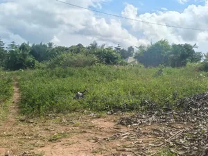 5 Acres of Land in Namaiba Mukono on Katosi Rd