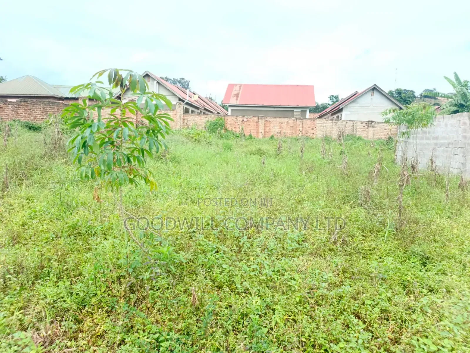 28 Decimals Plot of Land Seeta Namilyango