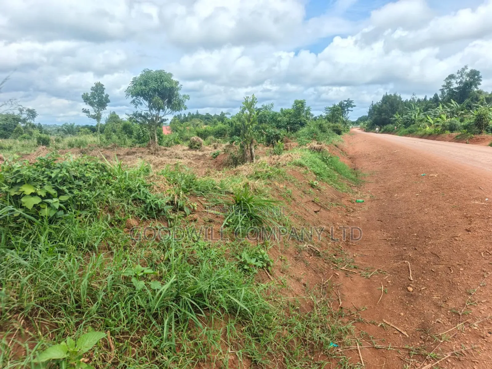 60 Decimals Plot of Land in Namaiba Mukono on Katosi Rd