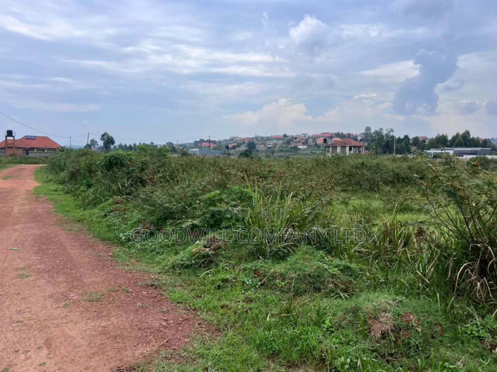 Half Acre 50 Decimals Plot of Land in Kitukutwe