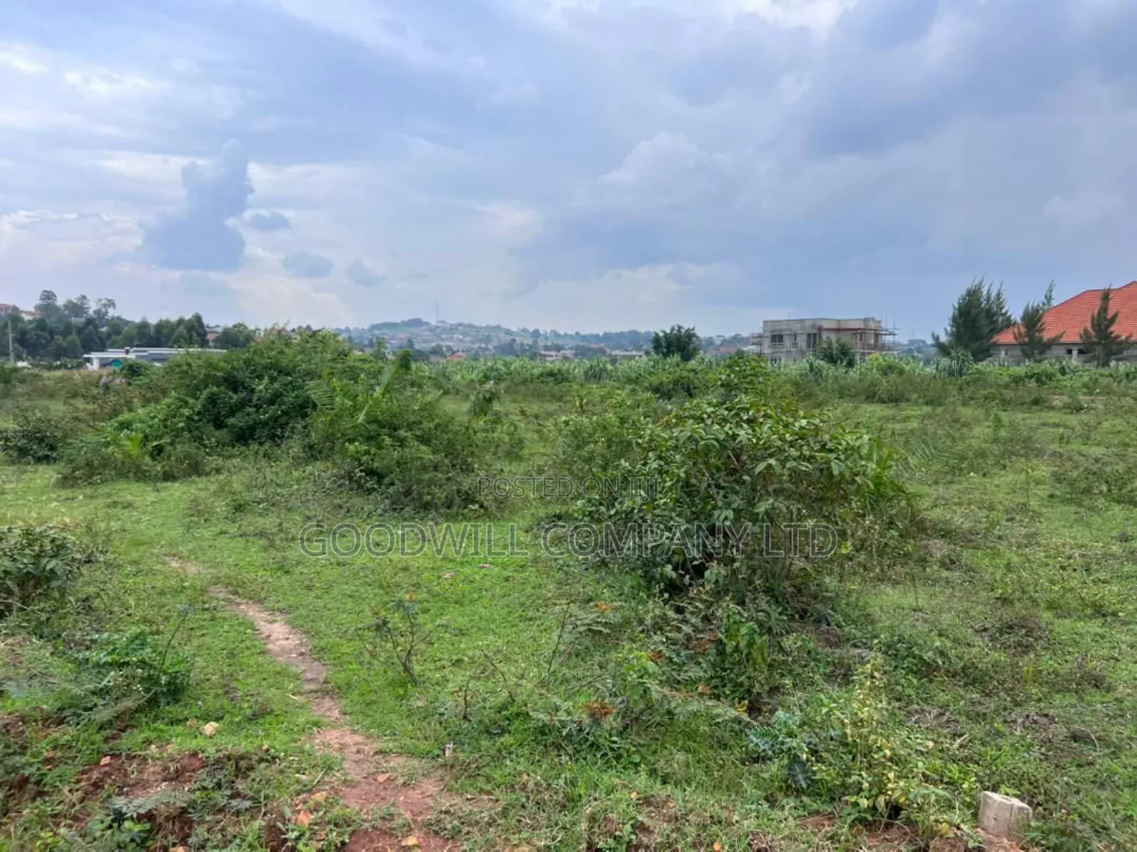 Half Acre 50 Decimals Plot of Land in Kitukutwe