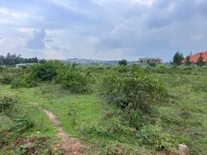 Half Acre 50 Decimals Plot of Land in Kitukutwe
