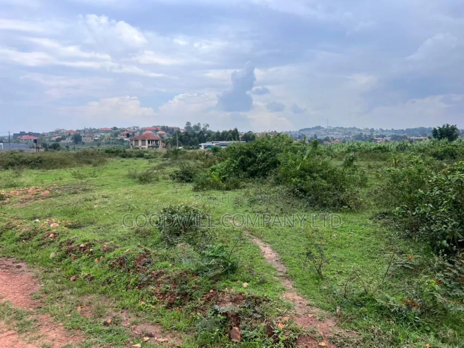 Half Acre 50 Decimals Plot of Land in Kitukutwe