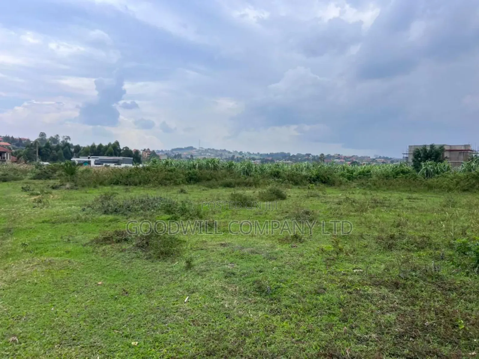 Half Acre 50 Decimals Plot of Land in Kitukutwe