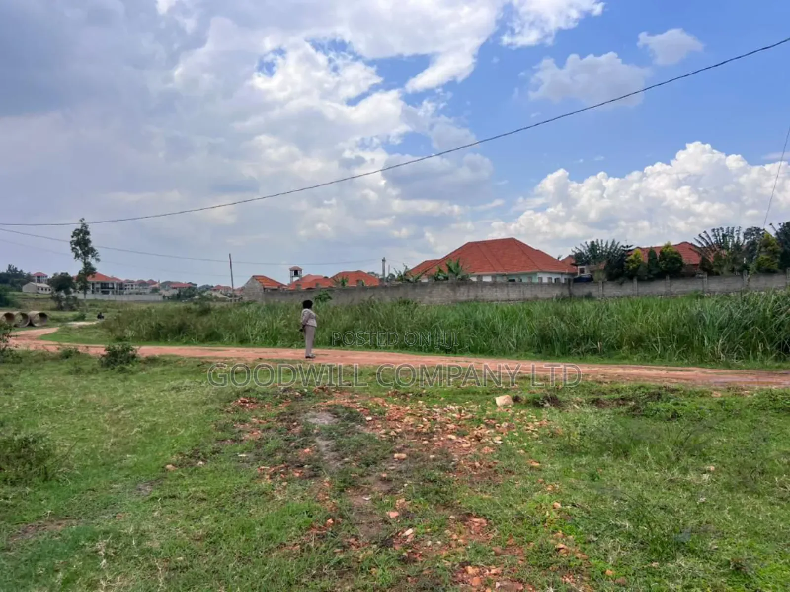 Half Acre 50 Decimals Plot of Land in Kitukutwe