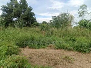 12 Acres of Land in Nakagere Bukerere Namugongo Road
