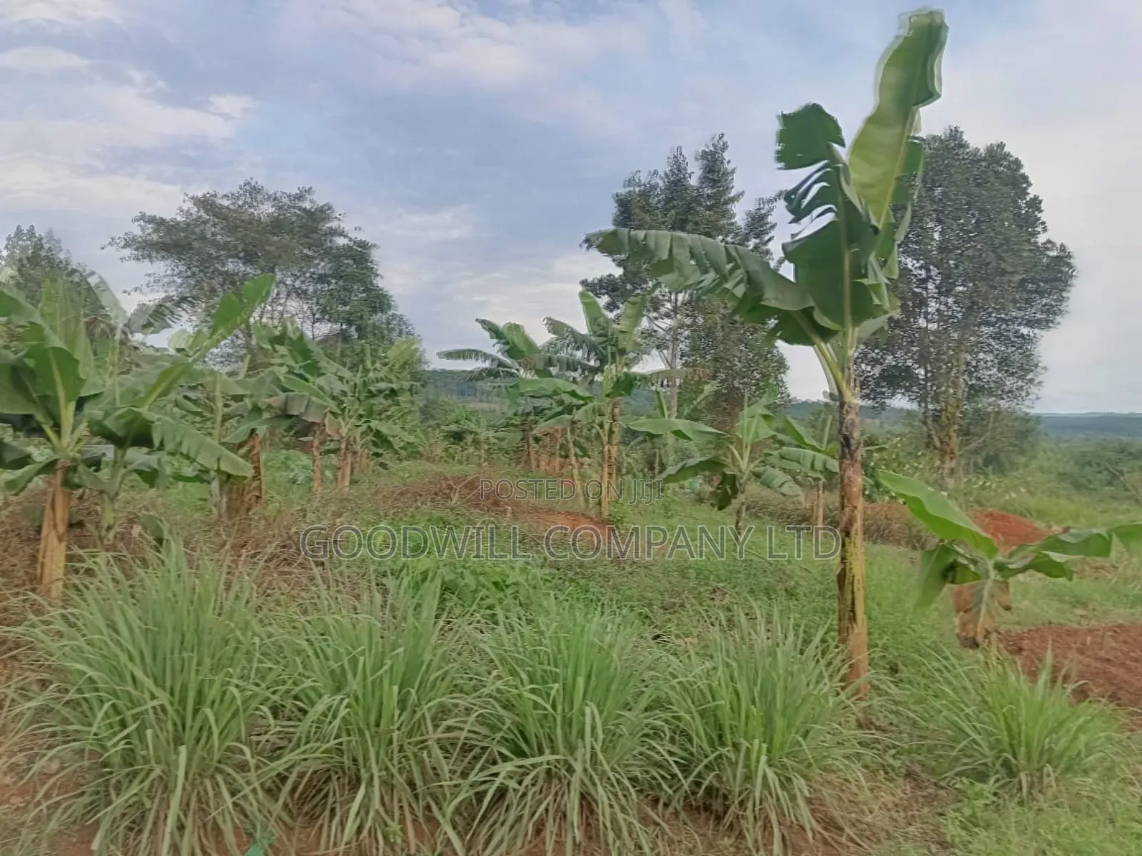 12 Acres of Land in Nakagere Bukerere Namugongo Road