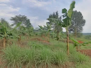 12 Acres of Land in Nakagere Bukerere Namugongo Road