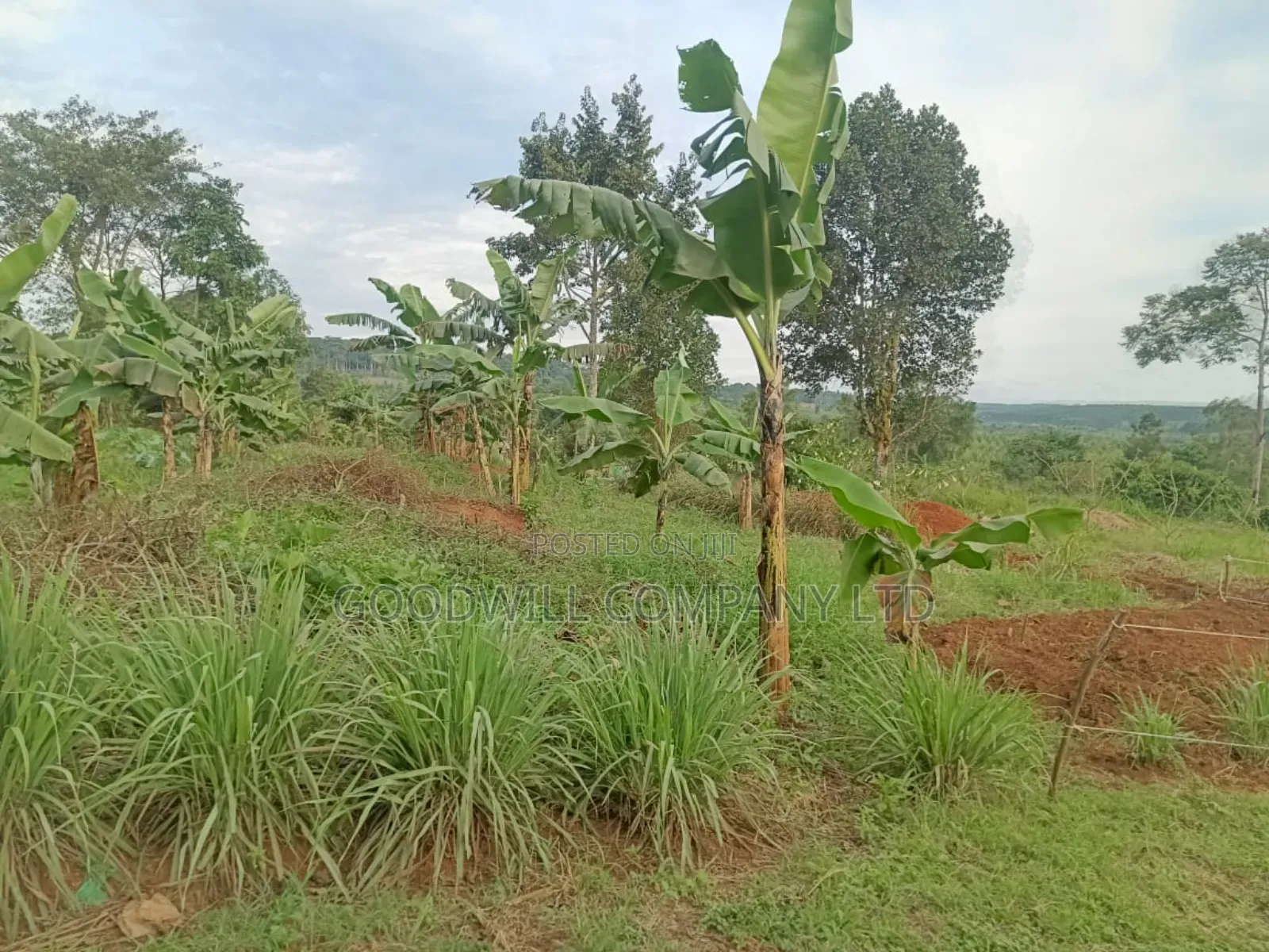 12 Acres of Land in Nakagere Bukerere Namugongo Road