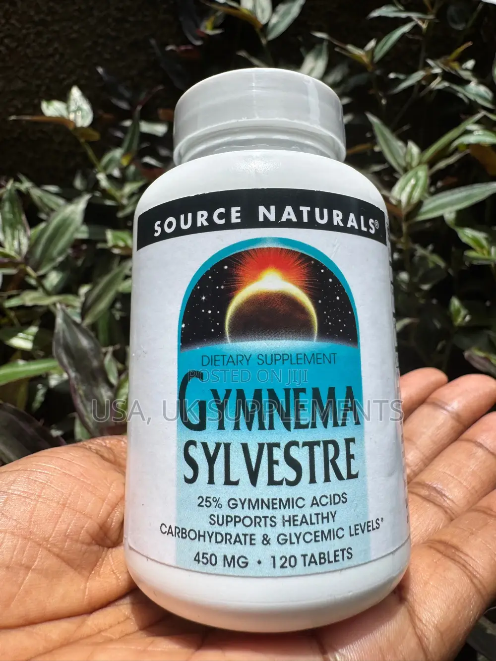 Gymnema Sylvestre 450mg 120capsules Source Naturals