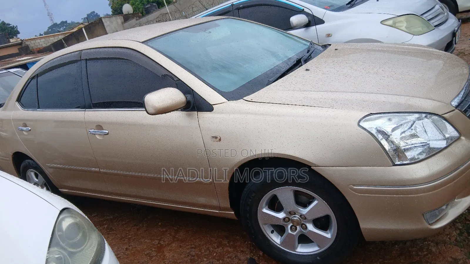 Toyota Premio 2006 Gold