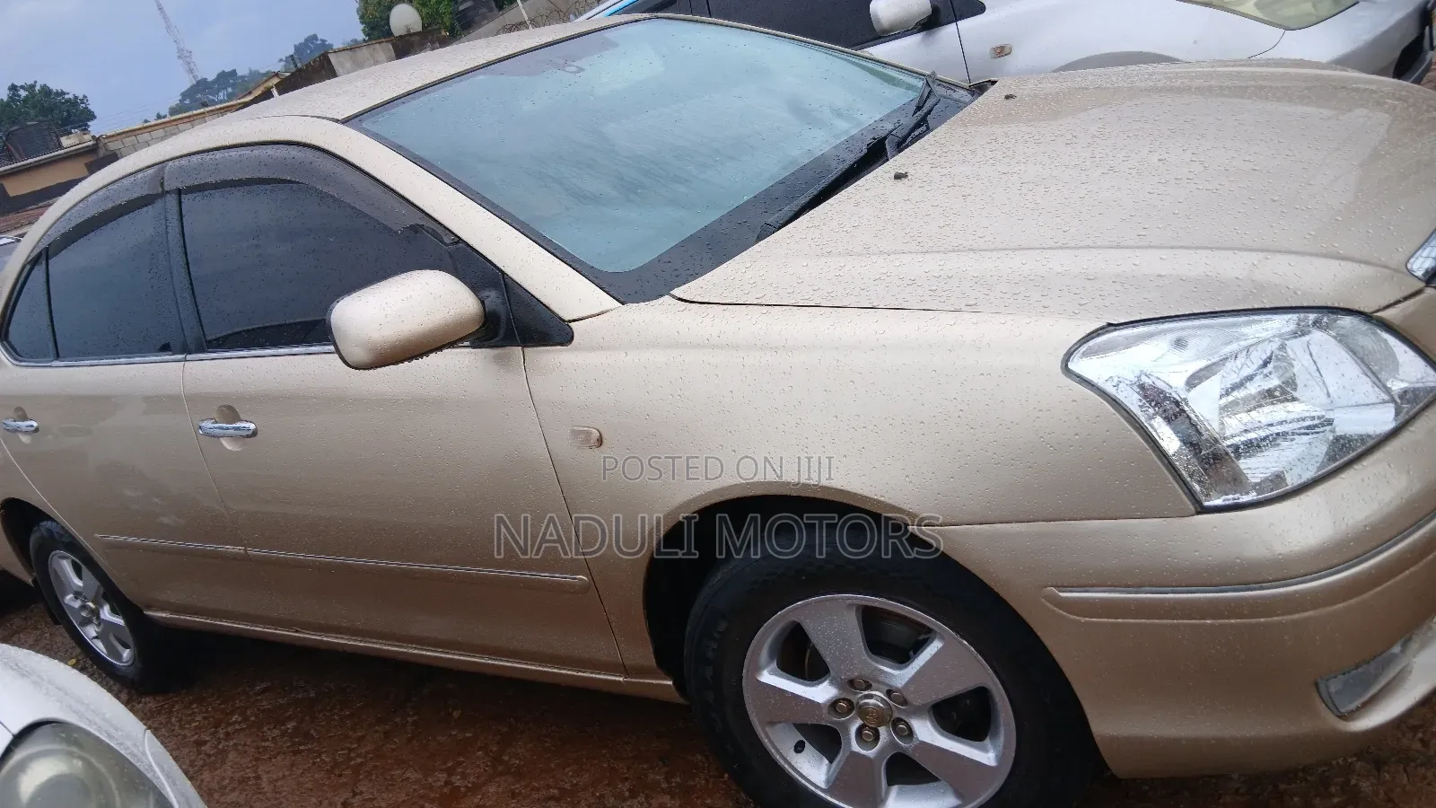 Toyota Premio 2006 Gold