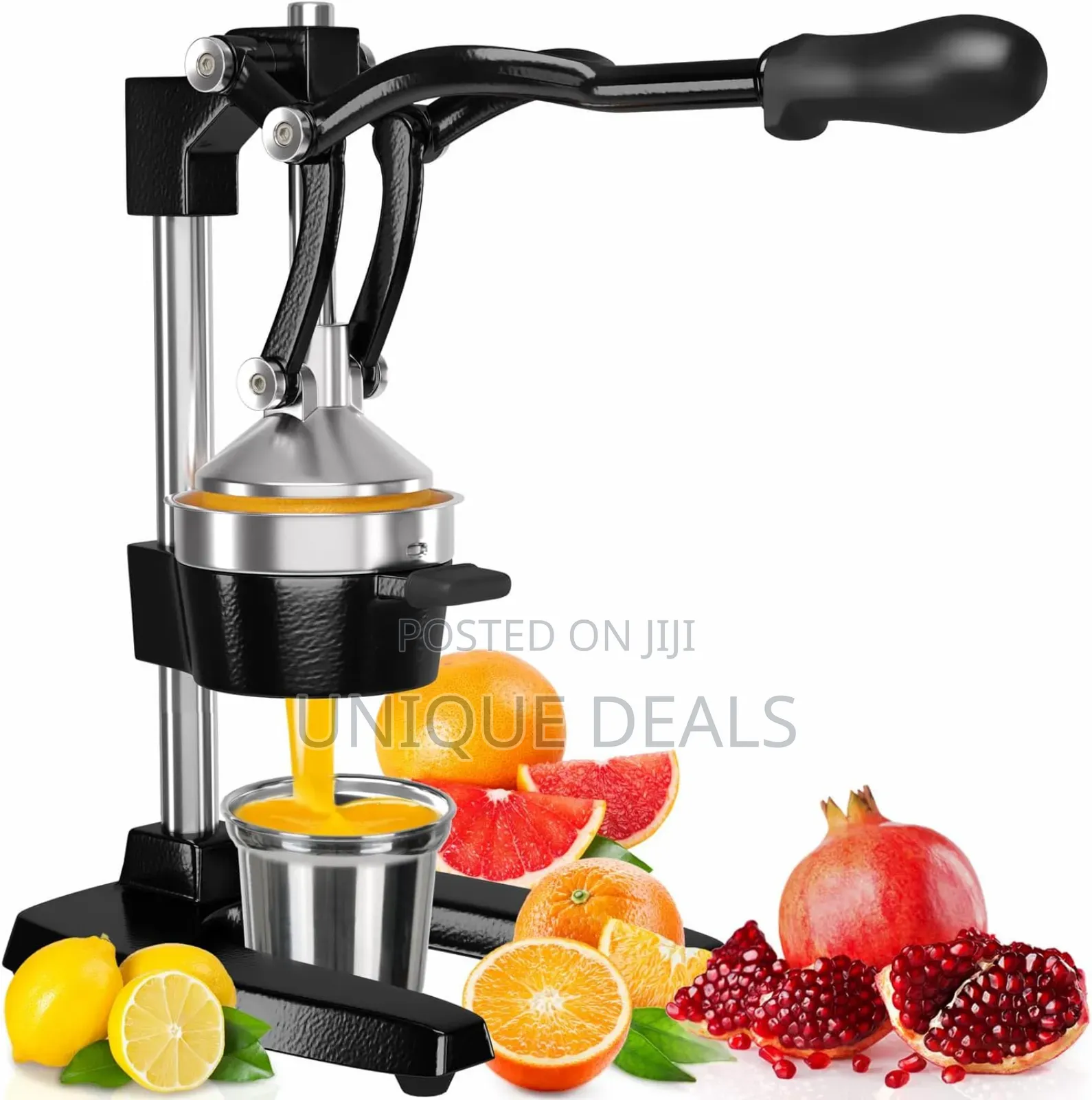 Cast-Iron Citrus Juicer, Professional Commercial Grade Hand Press