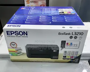 Epson Printer 3210