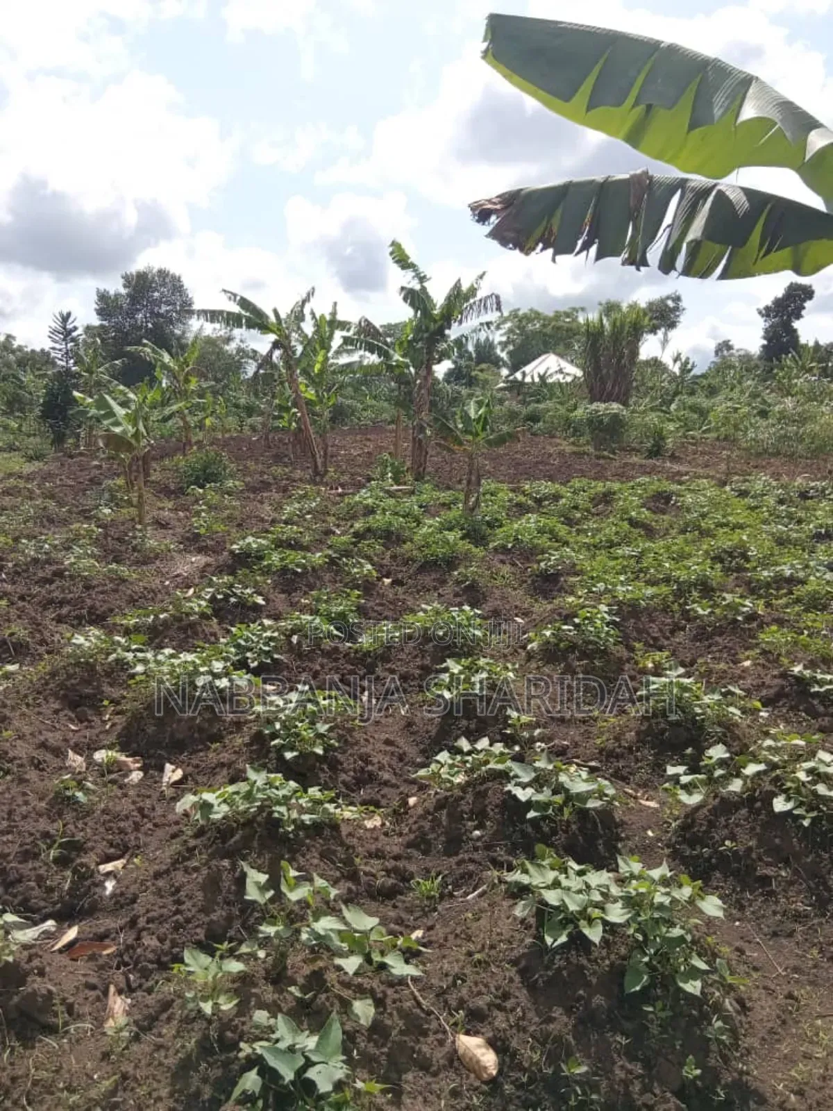 Rhidah Land Consultancy