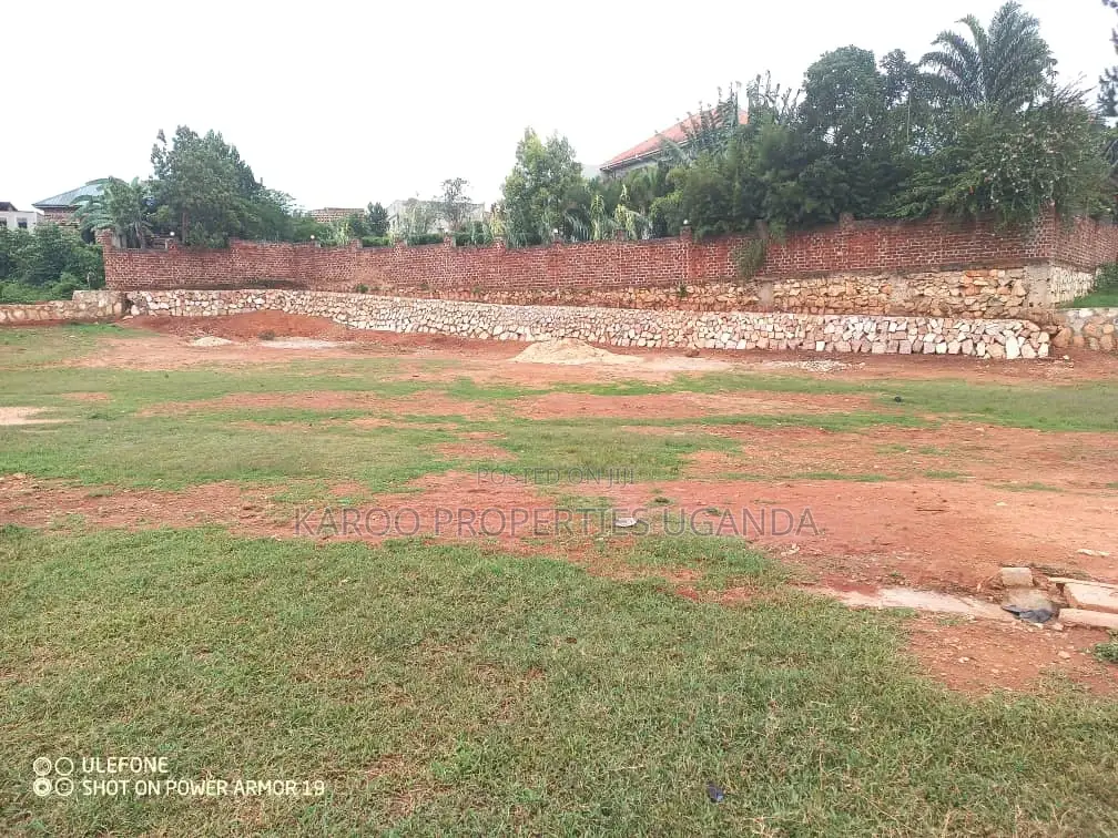 Only One Plot Left! In Kira-Nakwero