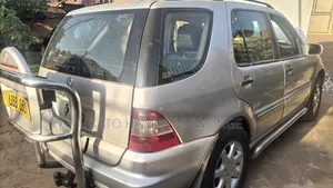 Mercedes-Benz M Class 2002 Silver
