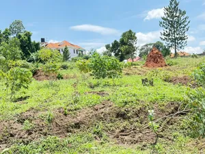 4 Acres of Land in Kiwologoma After Kira