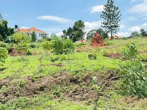 4 Acres of Land in Kiwologoma After Kira