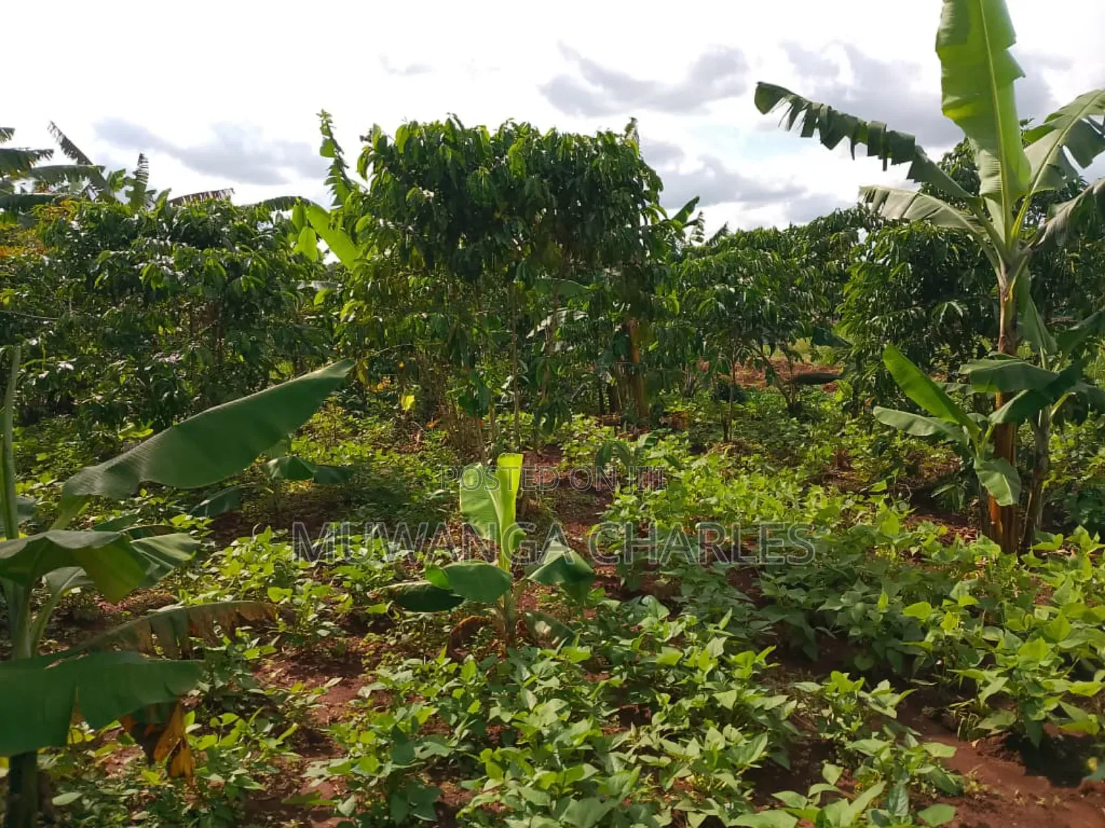 2acres of Land on Sale in Kanyanda Matugga