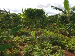 2acres of Land on Sale in Kanyanda Matugga