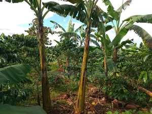 2acres of Land on Sale in Kanyanda Matugga