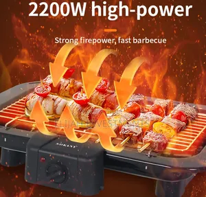 Sokany Electric Barbecue Grill