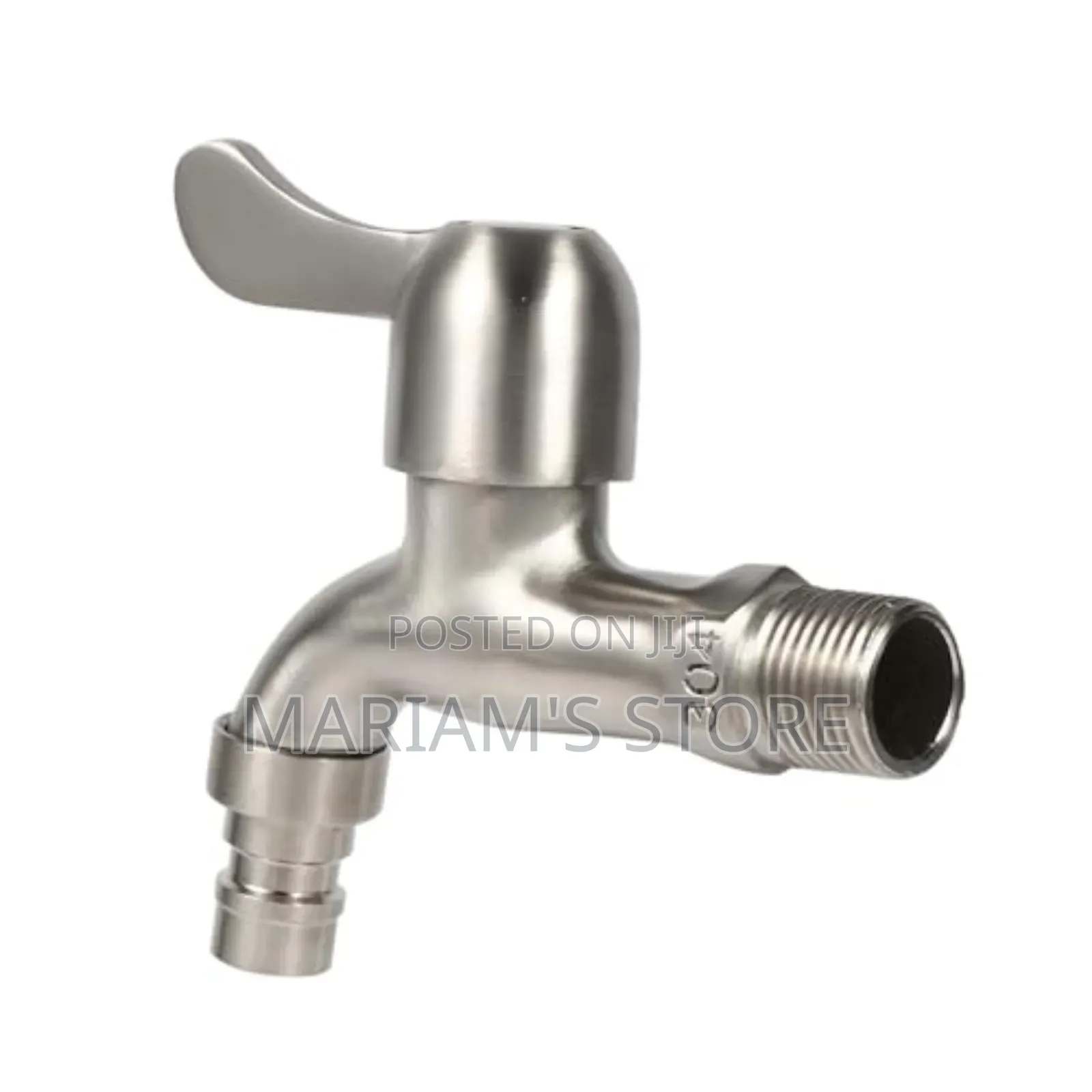 Stainless Steel Wall-Mounted Faucet