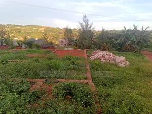 Titled Plots on Sale in Sentema