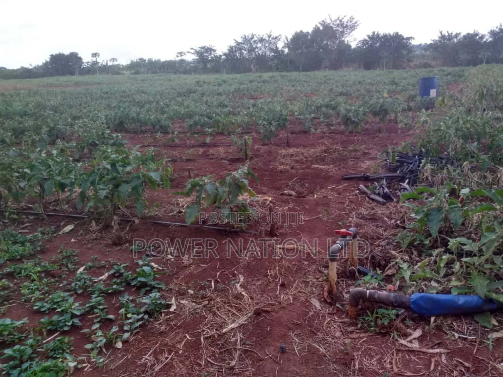 Farmland of 20 Acres of Land Nakaseke Off Ngoma Butalangu Road