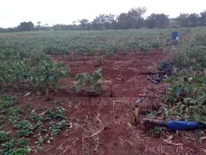 Farmland of 20 Acres of Land Nakaseke Off Ngoma Butalangu Road