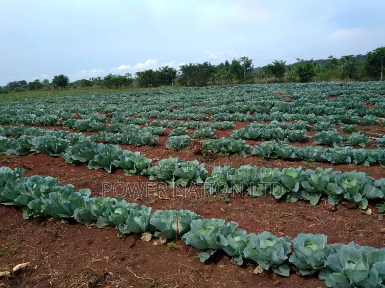 Farmland of 20 Acres of Land Nakaseke Off Ngoma Butalangu Road