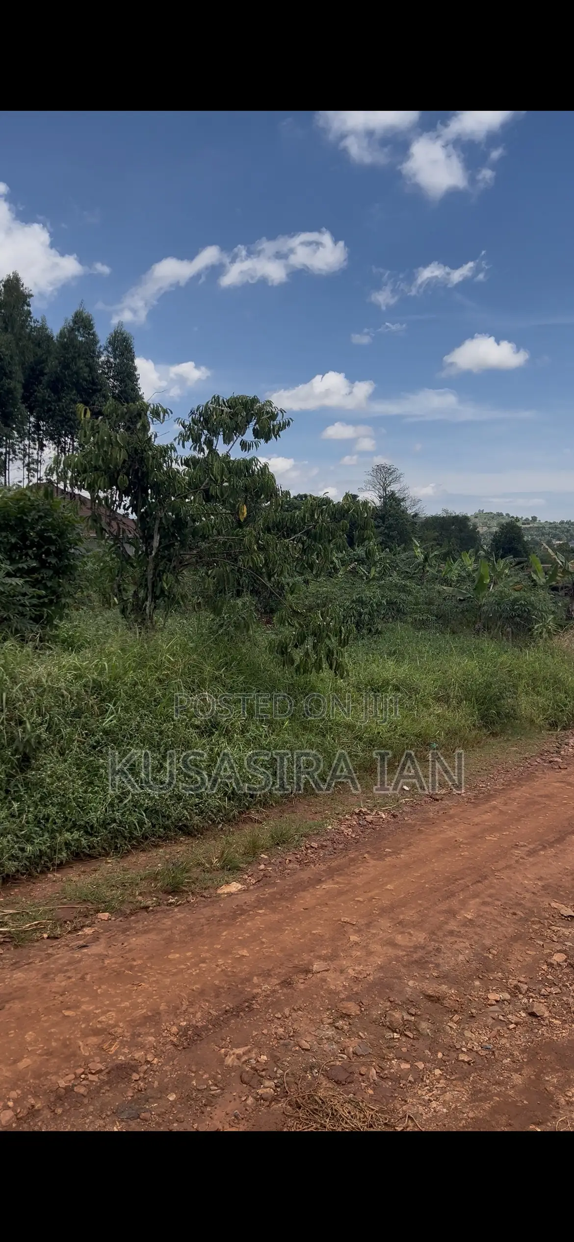 Quick Sale Plot 50*100