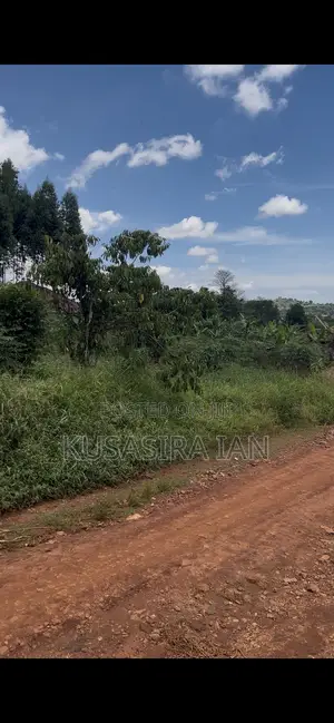Quick Sale Plot 50*100