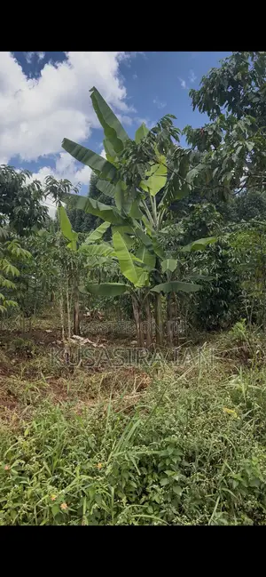 Quick Sale Plot 50*100