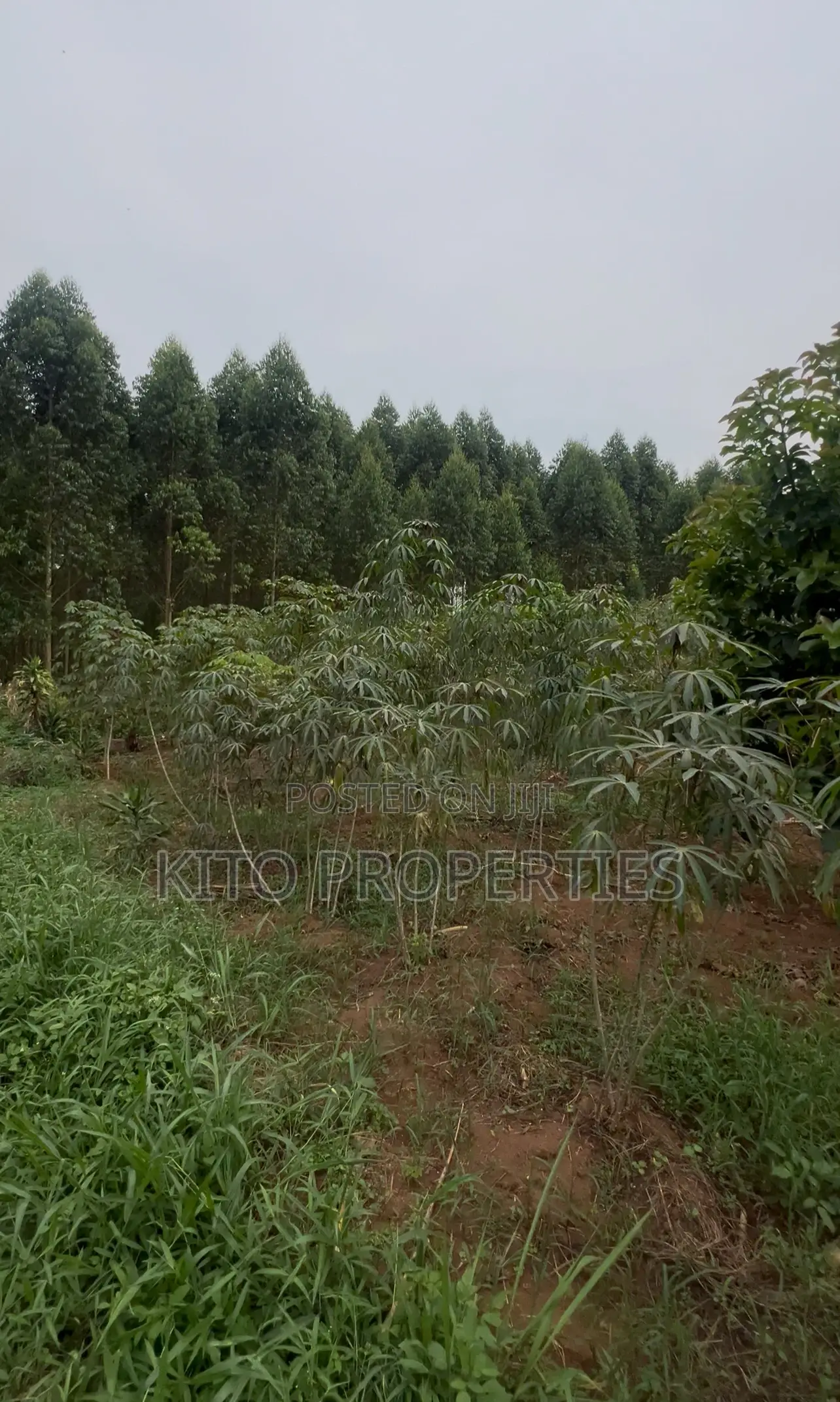25*50 Plot For Sale (Namugongo Bukerere)