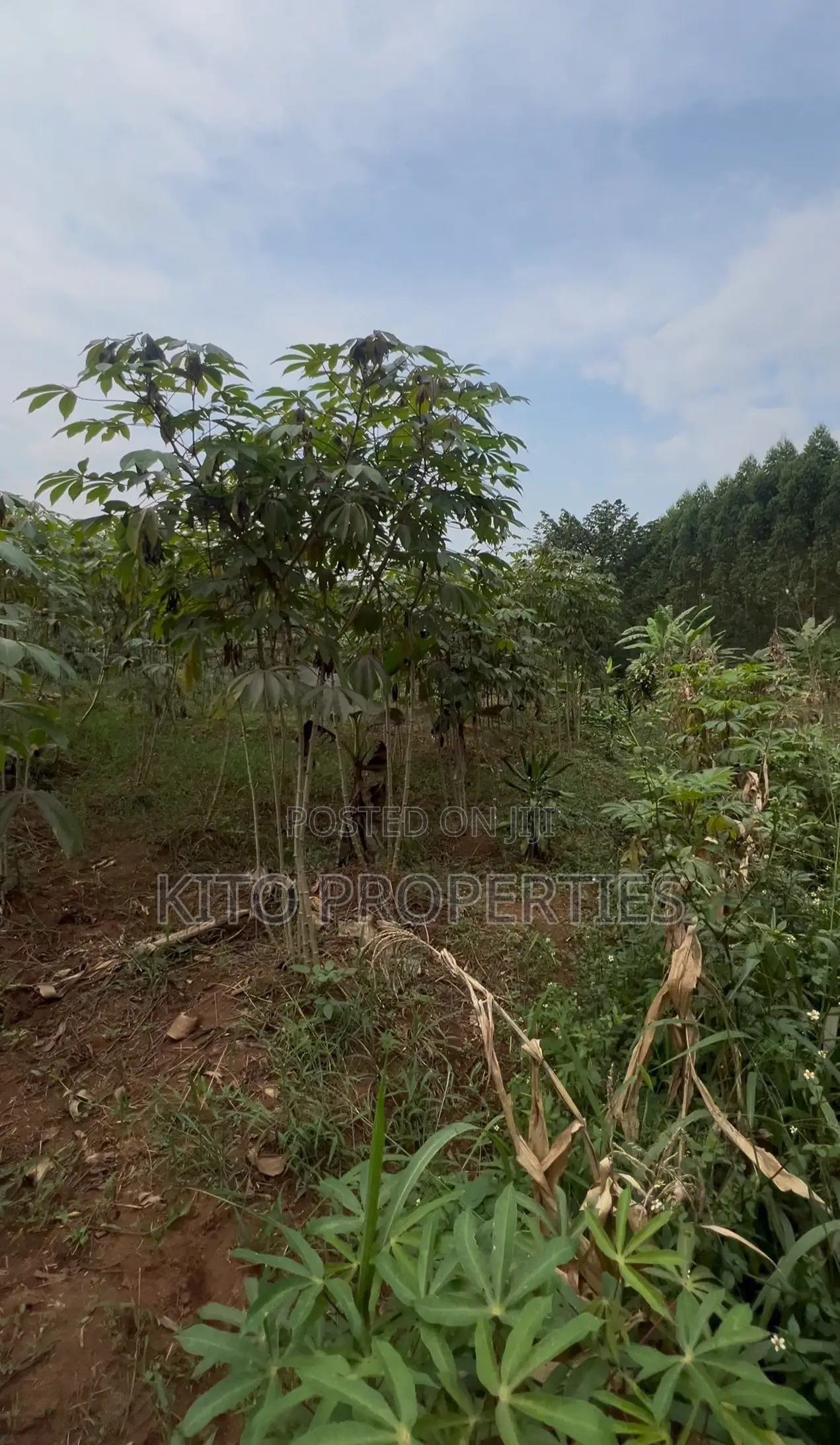 25*50 Plot For Sale (Namugongo Bukerere)