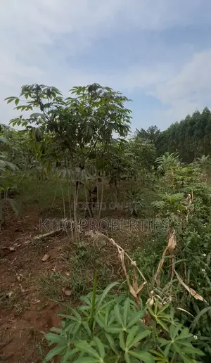 25*50 Plot For Sale (Namugongo Bukerere)