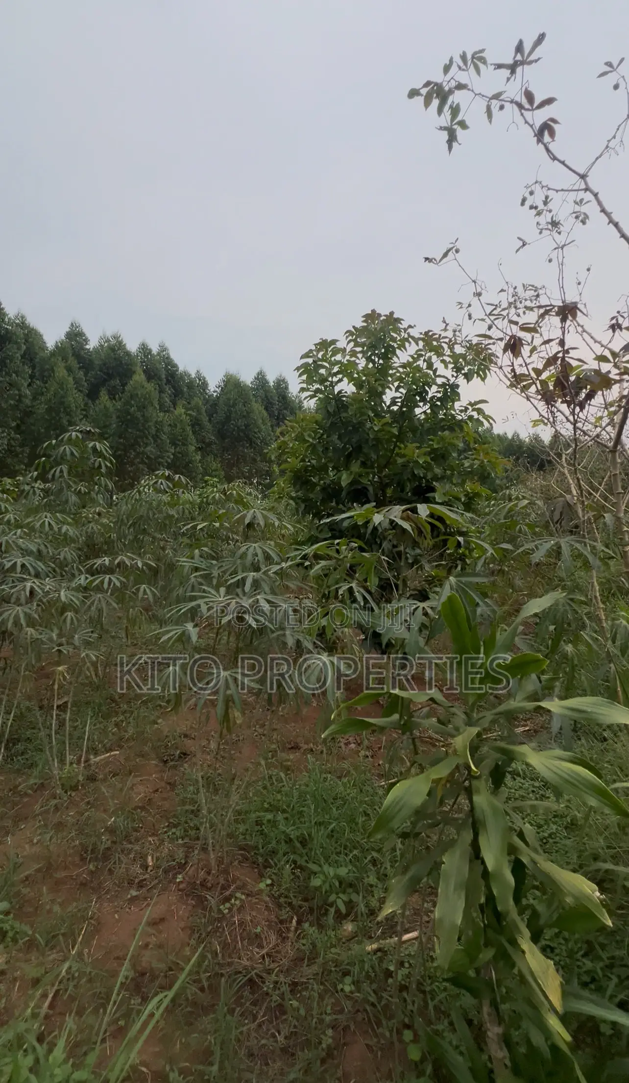 25*50 Plot For Sale (Namugongo Bukerere)