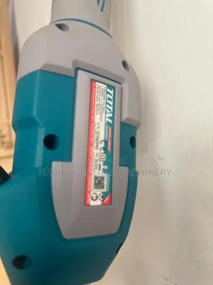 Total Wall Sander