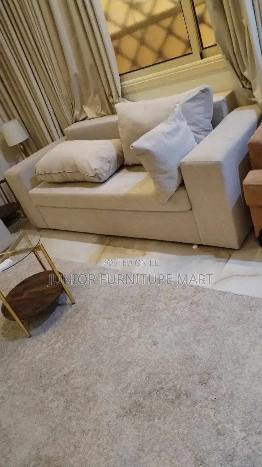Fancy Modern Sofa