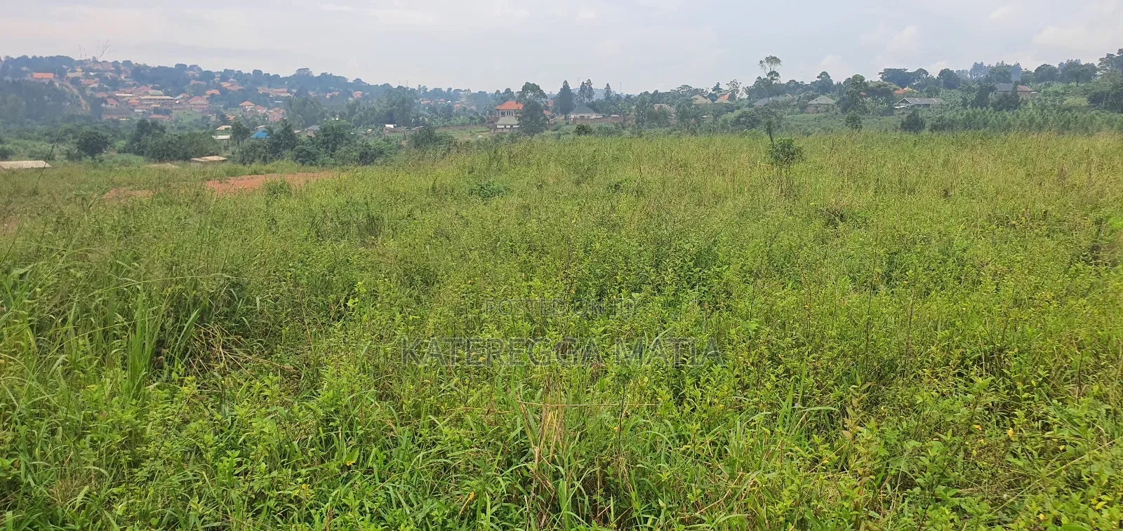 Land With a Proper Land Title