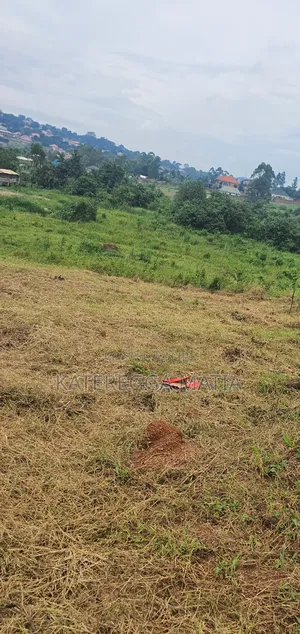 Land With a Proper Land Title