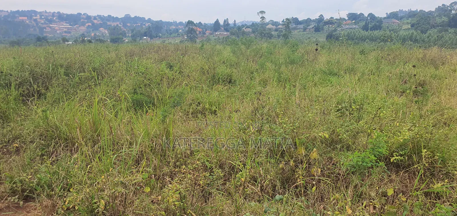 Land With a Proper Land Title