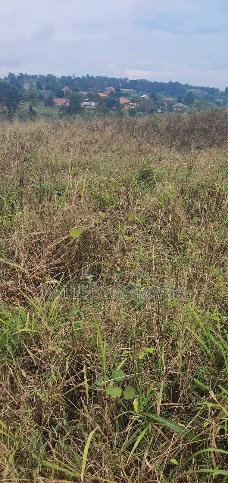 Land With a Proper Land Title